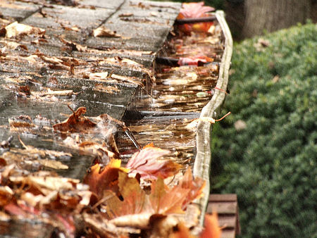 gutter cleaning company