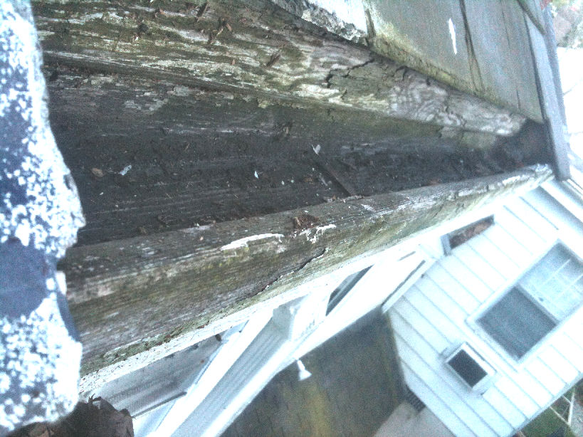 Old Cedar Log Gutter