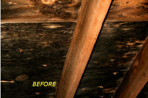 How do you remove mold from an attic?