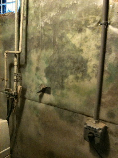 mold grows behind vapor barrier