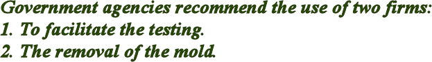 Mold Remediation