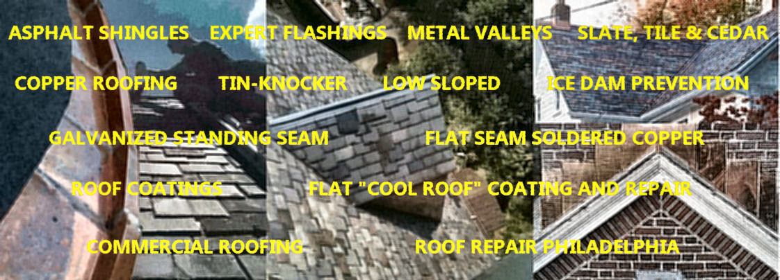 Roofing Consulant for all types Philadelphia area.
