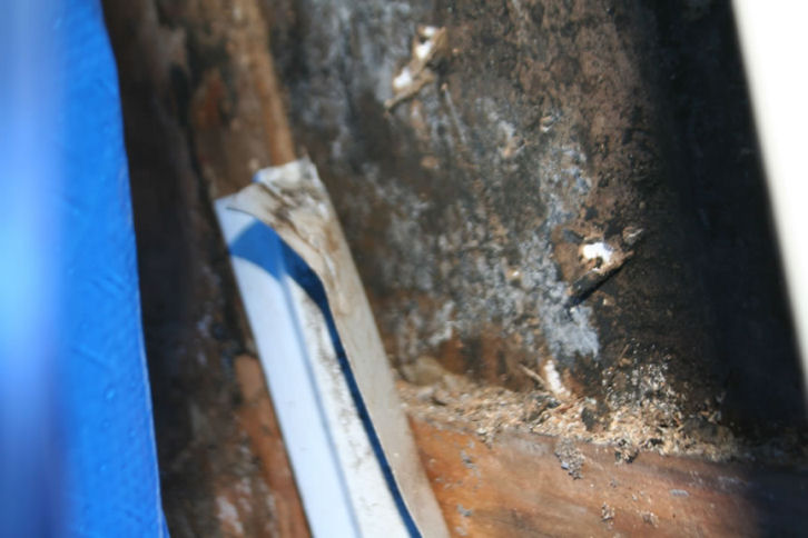 Black Mold In Walls vinyl siding roof flashing leaks repaired mold rot Black Mold In Walls vinyl siding roof flashing leaks repaired mold rot