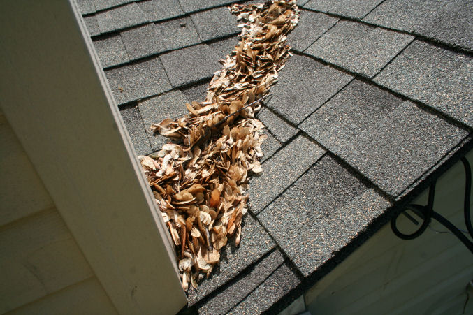 leaking area of roof