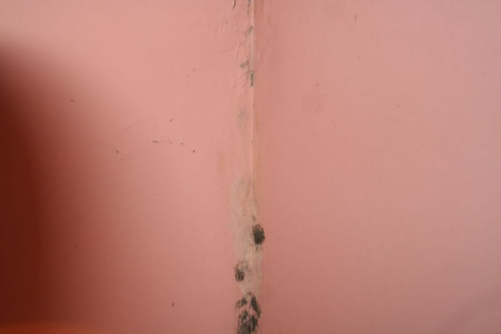 mold inside at corner of drywall